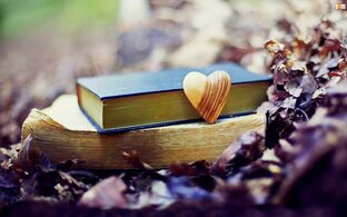 Немного о книгах
