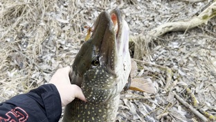 Джиг! Микроджиг!