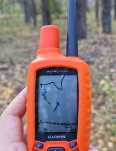 Техника и снаряга