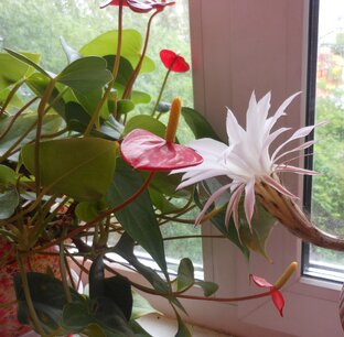 ЧТО ВЫ ЦЕНИТЕ В ЛЮДЯХ? повесть и статья