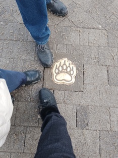 Путешествия