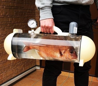 мАркетинг: нюансы упаковки