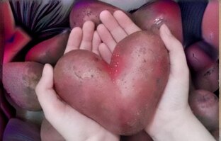 Статья: Мои находки
