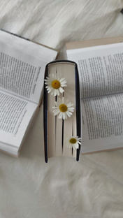 Книжные отзывы