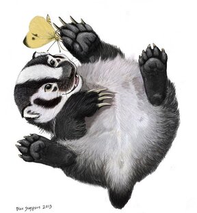 Интересные факты о животных. 