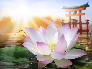 Аудио книги