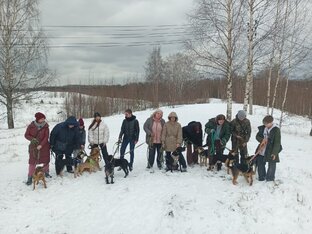 История приюта Келтсские ангелы в 5 частях 