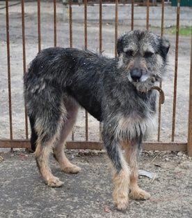 Ася любит жизнь