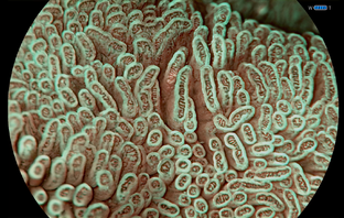 Для практикующих врачей