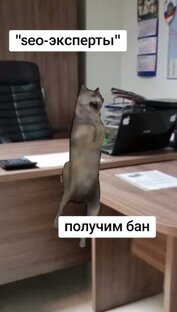 Все таких встречали