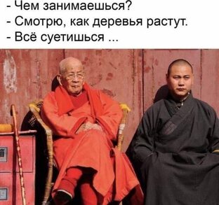 цветочные зарисовки