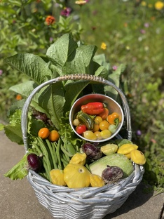 описание сортов