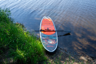 Приключения на сапе