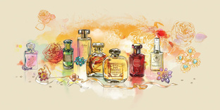Всё о парфюмах♥️