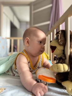 Путают эти омографы. Разберемся. 