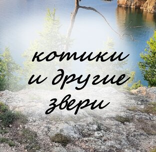 Котики и другие звери