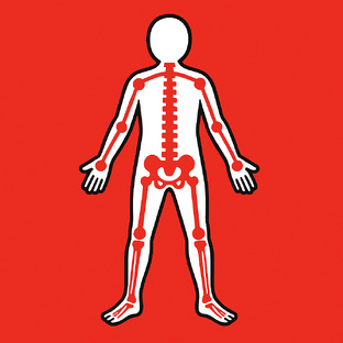 Позвоночник и суставы