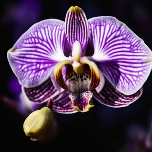 Тесты для того, чтобы понять себя