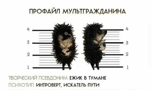 Ревизорские отчёты