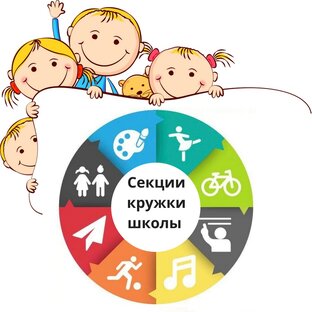 Кружки и секции