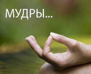 МУДРЫ в реальной жизни...