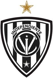 INDEPENDIENTE DEL VALLE EN 2025 TODOS LOS PARTIDOS 