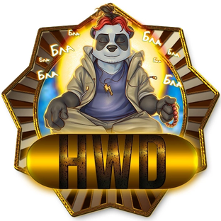 ЗАПУСК "HWD"