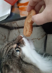 Вкусно есть не запретишь