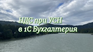 УСН и НДС