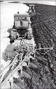 О целинниках района