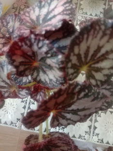 мои занятия