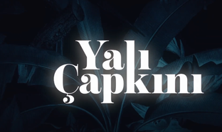 Зимородок 3. Обзор сериала