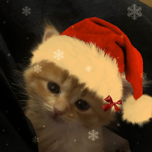 Ребятки это обнова моего аккаунта (новогодняя обнова)