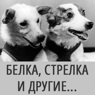 Белка, Стрелка и другие...
