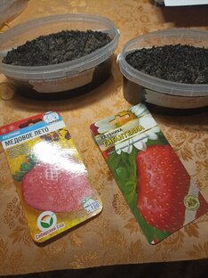 клубничный сериал🍓