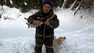 Зимняя рыбалка по таежным рекам / Рыбалка на хариуса