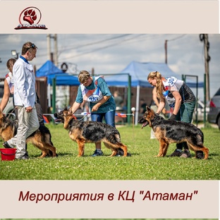 Мероприятия в КЦ "Атаман"