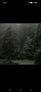 ⳡⲧⲟ-ⲧⲟ 💐