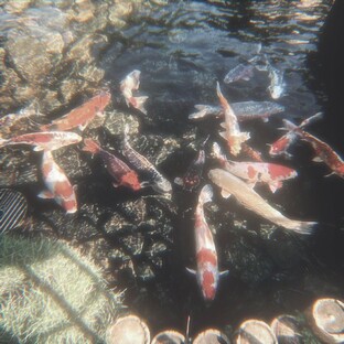 Тестики✨>:3