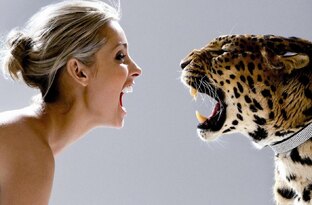 Базовые эмоции и чувства простым языком