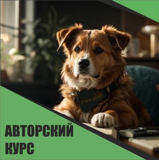 Подготовка собаки и ее хозяина с нуля 