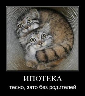 Спасаем загубленную ипотеку