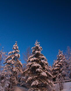 Республика Карелия