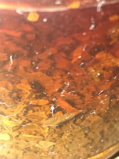 Каждый год это