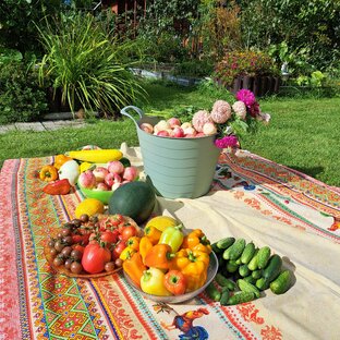 Про сад и огород 🌱 🍅 🌷 