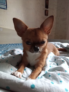 Масины позы для сна