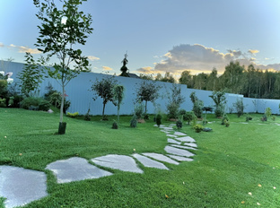 Декоративная растения в моем саду