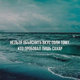 Записки дзеноведа