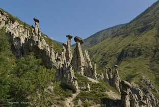 Каменные Грибы