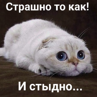 Положа руку на сердце